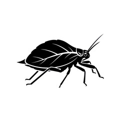Detailed black and white illustration of a leaf insect.