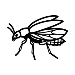 Detailed Line Art Illustration of a Fly Insect.