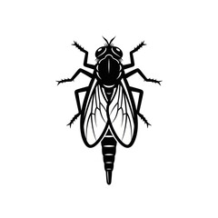 Black and white illustration of a fly, top view, insect.