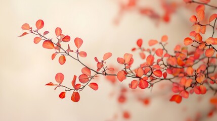 Colorful autumn leaves on branches creating a stunning nature scene in warm light during the fall season