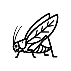 Stylized Grasshopper Illustration with Detailed Wing Veins and Antennae.