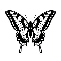 Detailed black and white illustration of a beautiful butterfly with intricate wing patterns.