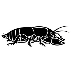 Black silhouette of a crayfish or lobster on a white background.