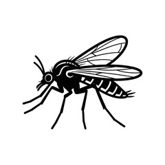 Mosquito insect side view black and white illustration.