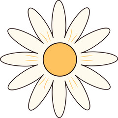 Simple Daisy Flower With Orange Center and White Petals Isolated on Transparent Background With Thin Black Outline