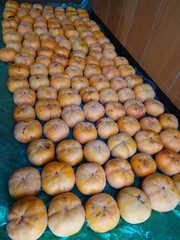 Harvested autumn delicacy: sweet persimmon fruit / 収穫された秋の味覚～甘柿(あまがき)の果実