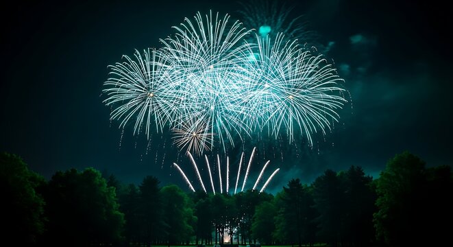 Spectacular fireworks exploding over silhouetted trees at night - Powered by Adobe