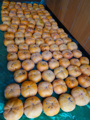 Harvested autumn delicacy: sweet persimmon fruit / 季節の食材，収穫された秋の味覚～甘柿(あまがき)の果実