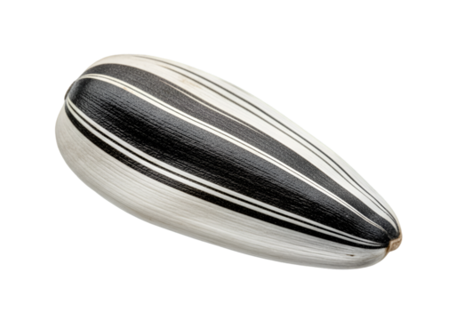 Single black and white striped sunflower seed isolated on transparent background