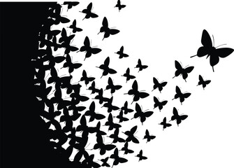 Naklejka premium Vector illustration showing black butterflies silhouette flying in a swarm from left side to right isolated on a white background