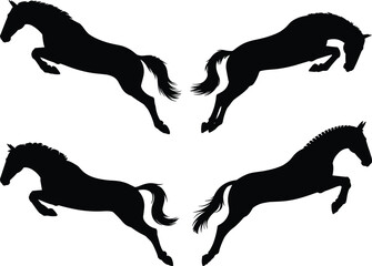 Obraz premium Set of four black horse silhouettes jumping over obstacles vector illustration isolated on white background for equestrian sports logo design