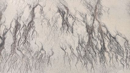 Abstract cracks and lines on sand top view, cracked sandy texture, creative art background, grunge pattern, aged surface, dry arid ground, erosion landscape, rough relief, marble effect, tree branches