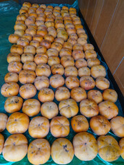 Harvested autumn delicacy: sweet persimmon fruit / 季節の食材，収穫された秋の味覚～甘柿(あまがき)の果実