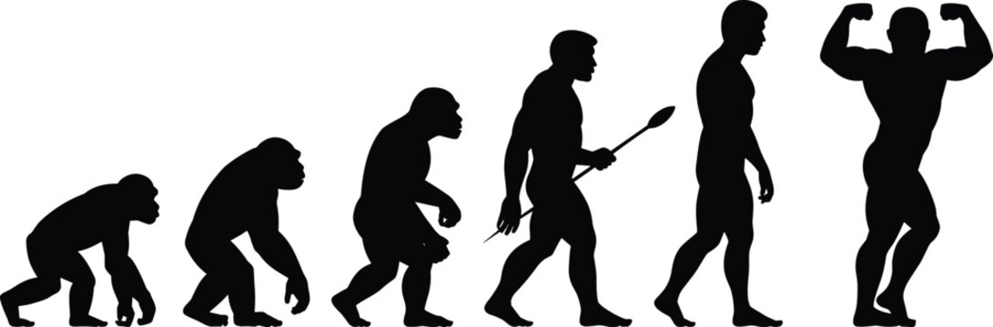Human evolution silhouette vector showing progress from primitive ape to hunter and finally a strong muscular bodybuilder posing for fitness