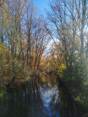 Fototapeta premium Vista del cauce de un río rodeado por árboles en un bosque con reflejos en el agua durante el otoño en Burgos, España