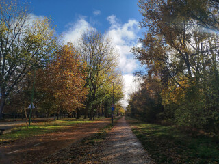 Camino de tierra entre árboles con follaje de colores de otoño bajo un cielo azul con nubes