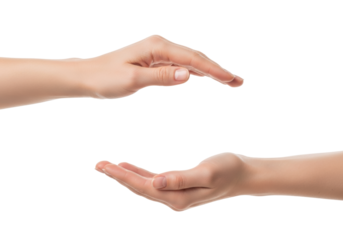 Two light-skinned human hands, clean nails, gently posed cradling an invisible object against a transparent studio background concept of human connection and potential
