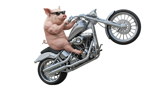 Hilarious pig biker dude rides motorbike on one wheel, a funny cartoon character, perfect for jokes, memes, or humorous illustrations, fun design