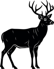 Standing deer silhouette, majestic stag with large antlers, wild animal vector, hunting logo, forest nature, black isolated illustration.