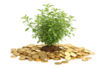 Plant with gold coins magic tree