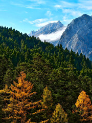 Majestic Mountain Peaks with Golden Autumn Foliage and Evergreen Forest