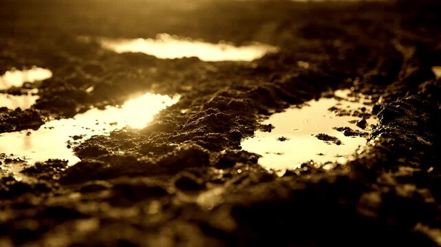 Sun reflecting in puddles in ground on ranch in countryside, closeup in farm. Fertile soil of ecological agricultural region, farming and cultivation of fields, dirt and fabulous sunshine in water
