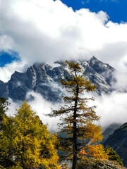 Alpine Mountain Peaks with Golden Larch Trees in Autumn