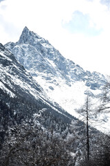 Majestic Alpine Peak with Snow-Covered Cliffs and Evergreen Forest Valley