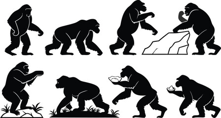 Evolution of intelligence shown in gorilla silhouettes, demonstrating tool use and problem-solving skills, perfect for educational resources and scientific studies