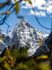 Snowcapped Mountain Peak Framed by Autumn Foliage Under Blue Sky