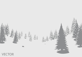 Obraz premium Silhouetted Gray Evergreen Trees in a Wintery Forest Landscape Scene.
