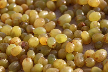 Traditional Grape Drying Process in Kandahar, Afghanistan – Raisin Production