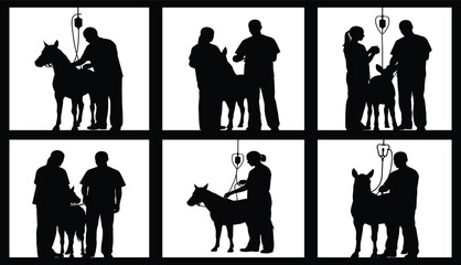Silhouette veterinarian examining horse, animal medical checkup, farm animal healthcare vector illustration for veterinary clinic, equine treatment, and professional animal care design