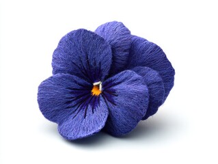 Close up of a Deep Blue Sparkly Pansy Flower Isolated on White Background