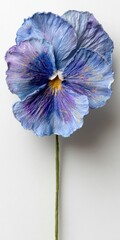 Close Up Of A Glittery Blue And Purple Pansy Flower With A Green Stem Against A White Background