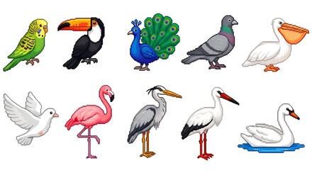 Obraz premium Collection of diverse cartoon birds in various poses