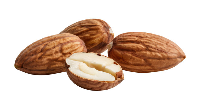 hazelnuts on white background, close-up