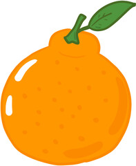 vector illustration of an orange fruit