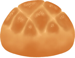 Melon pan bread illustration 