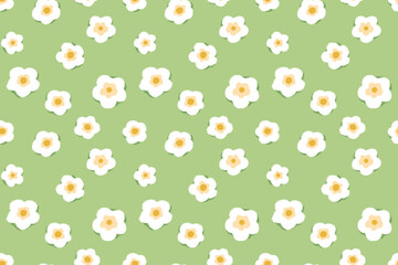 Seamless vector pattern with white minimal flowers and yellow centers on a soft green background. Simple floral design for spring textiles, wrapping paper, and decor