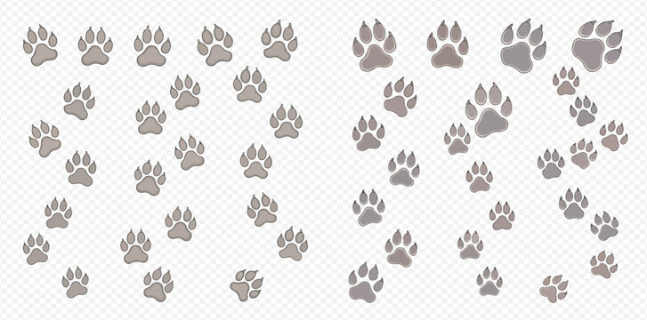 Multiple grey animal paw prints forming paths on a transparent background, suitable for design elements or tracking concepts.