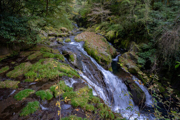 杣の大吊橋の紅葉の風景（八女市）