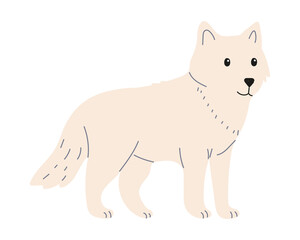 Arctic fox on a white background, flat style vector illustration. Animals of the North Pole.
