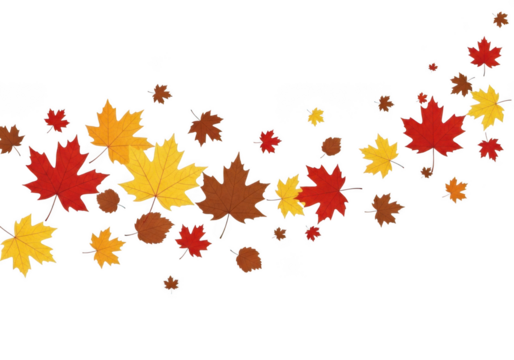 Scattered autumn maple leaves in red, yellow, and brown isolated on transparent background - Powered by Adobe
