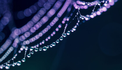 Abstract macro of sparkling dew drops on a purple spiderweb