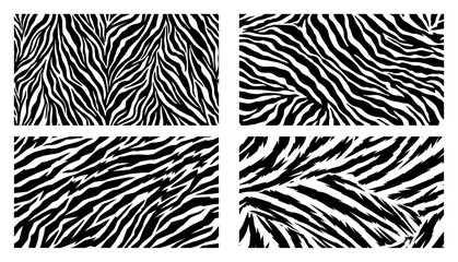 Abstract animal skin texture set Black and white zebra and tiger stripes pattern vector background © Kaz