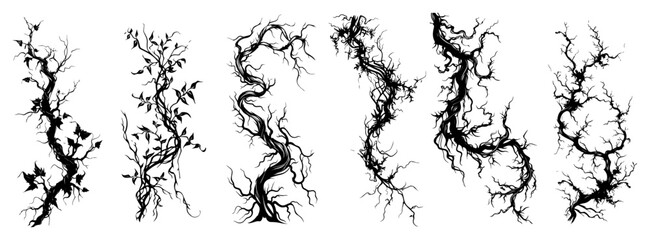 Gnarled Tree Root And Branch Silhouettes Set Organic Vector Vines