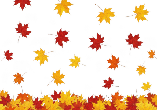 Falling autumn leaves in red, yellow, and orange isolated on transparent background