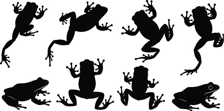 Frog silhouette collection featuring dynamic jumping poses and natural amphibian shapes, versatile vector illustration set for wildlife designs, nature themes, graphic projects