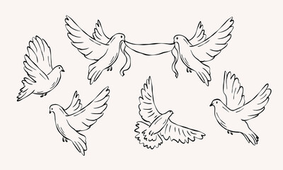 Set of hand drawn doodle doves